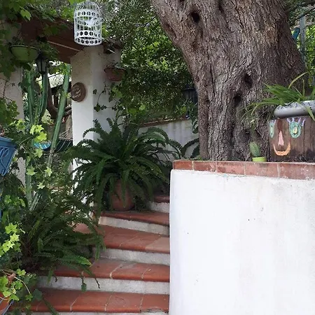 Holiday home Natura Mediterranea *